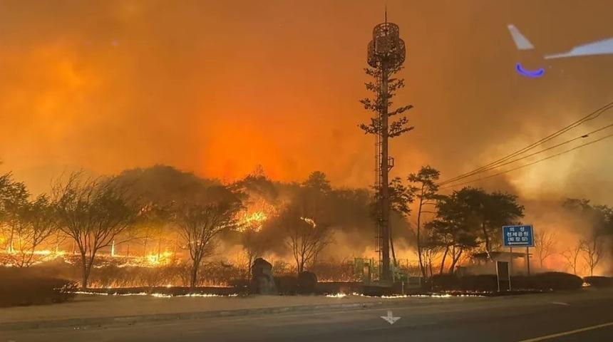 Güney Kore’deki orman yangınlarında bilanço ağırlaşıyor: Ölü sayısı 16’ya, yaralı sayısı 19’a yükseldi