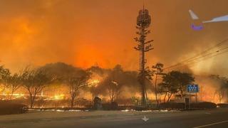 Güney Kore’deki orman yangınlarında bilanço ağırlaşıyor: Ölü sayısı 16’ya, yaralı sayısı 19’a yükseldi