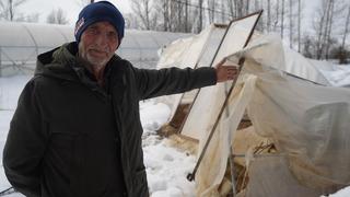 Kar nedeniyle seraları çökünce 60 senelik emeği heba oldu! Çiftçi duygusal anlar yaşadı