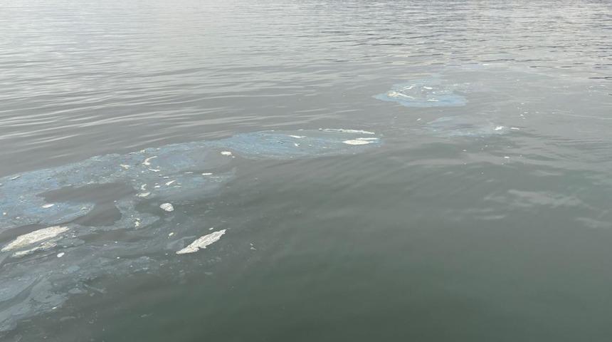 İzmir Körfezi'ne boya atığı deşarj eden firmaya 8,3 milyon lira ceza