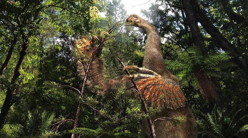 Kanada'da bilim insanları 'iki parmaklı yeni dinozor türü' keşfetti!