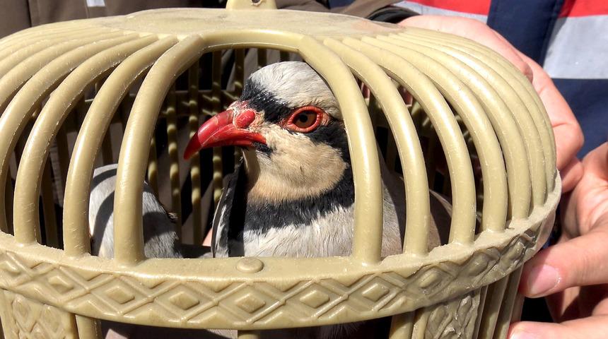 Tuzak kurarak keklik avlayan iki kişiye 176 bin 510 lira para cezası