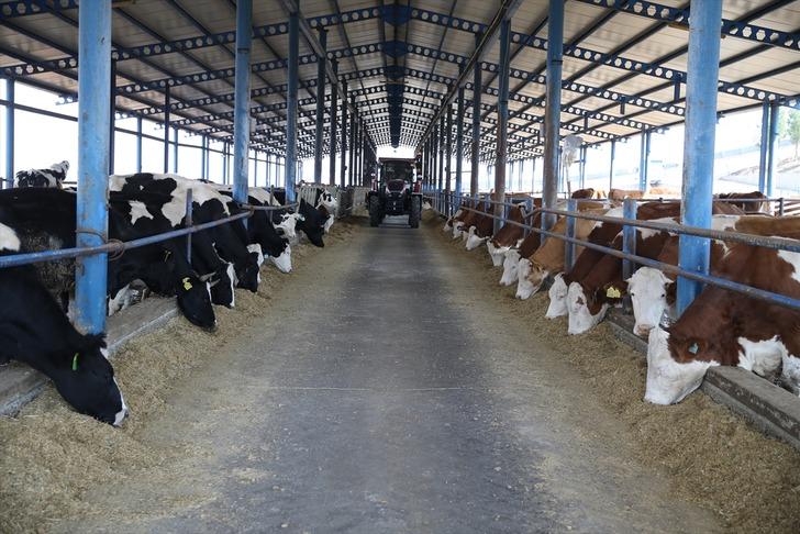 2 milyon TL ile 100'den 650'ye çıkardı! 'Burası kurulmasaydı başka illere giderlerdi' G1