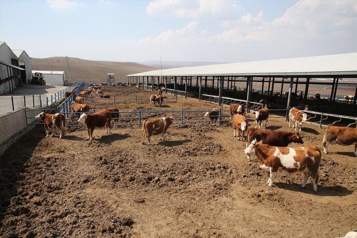 2 milyon TL ile 100'den 650'ye çıkardı! 'Burası kurulmasaydı başka illere giderlerdi' G3
