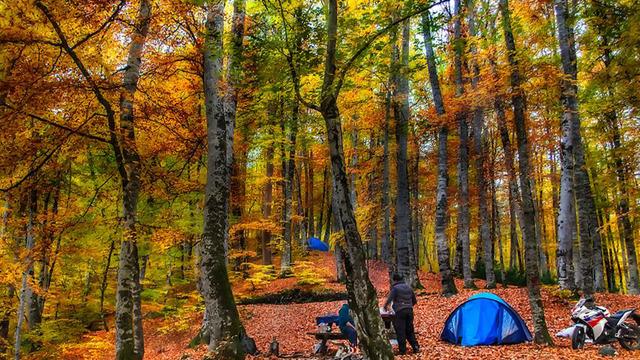 Ramazan Bayramı'nda Doğayla Buluşmak İçin Hazır: Korunan alanlar bayram tatili için düzenlendi...