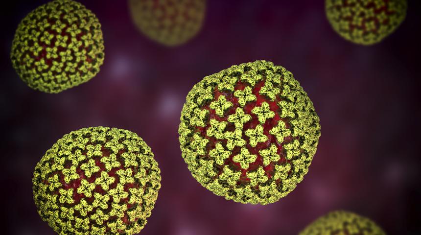 Hantavir&uuml;s nedir, nasıl bulaşır? Hantavir&uuml;s belirtileri ve tedavisi