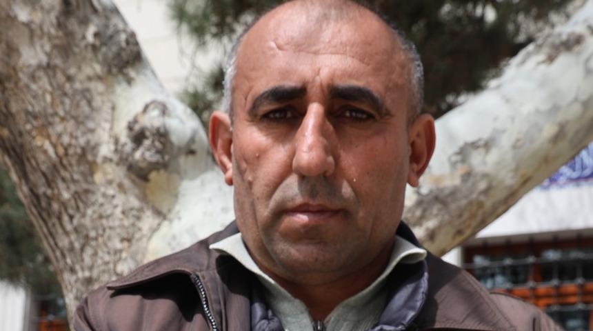 Herkes soruyordu, artık tezgahta! Kilosu 100 TL 'Ben demiyorum bilim adamları diyor'