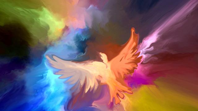 Anka kuşu nedir? Anka kuşu özellikleri, efsanesi ve hikayesi