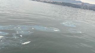 Bakanlık duyurdu! İzmir Körfezi'nde denizi kirleten firmaya 8,3 milyon lira ceza