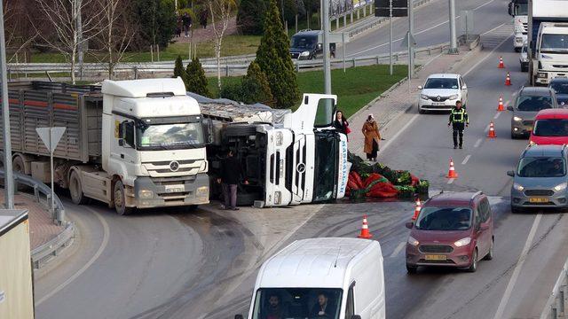 TIR devrilince dorsesindeki sebzeler yola saçıldı