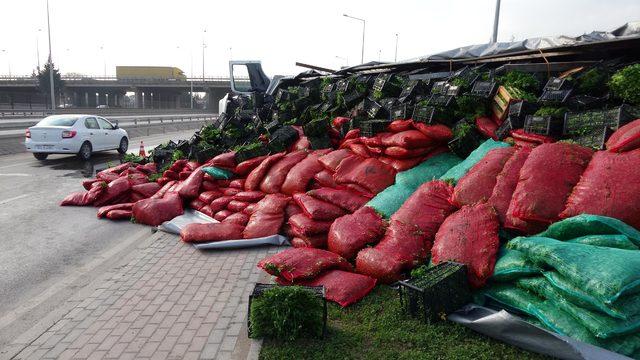 TIR devrilince dorsesindeki sebzeler yola saçıldı