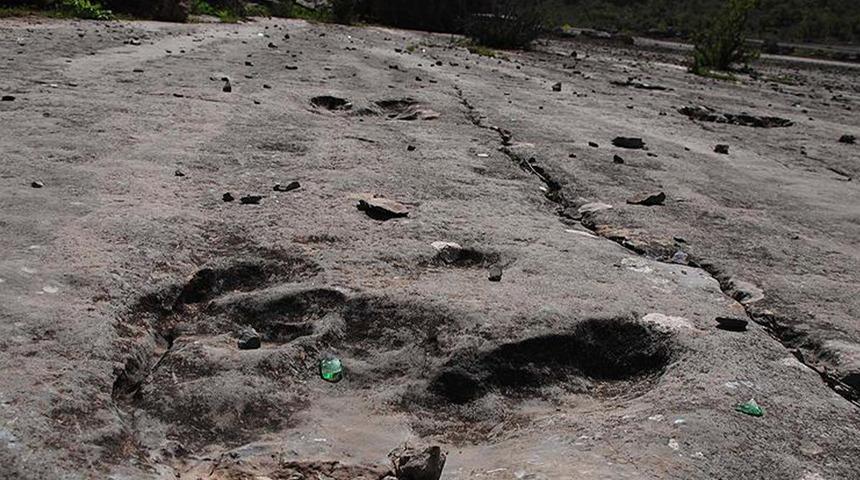 100 milyon yıl öncesine ait! 2 pençesi bulundu... O türe ait yeni bilgiler ortaya sundu