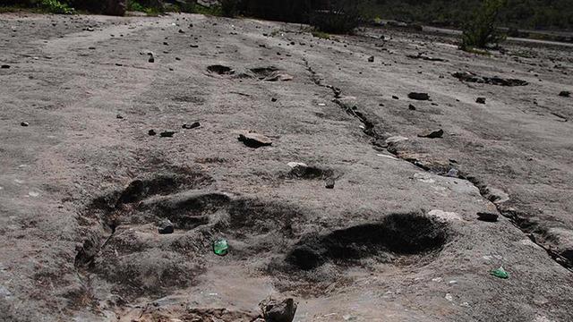 100 milyon yıl öncesine ait! 2 pençesi bulundu... O türe ait yeni bilgiler ortaya sundu