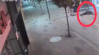 Köpeklerden kaçarken kaza yaptı; motosiklet sürücüsü ile yaya yaralandı