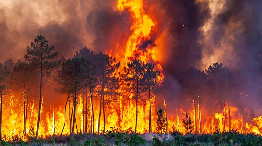 Güney Kore'deki orman yangınlarında ölü sayısı 28'e yükseldi! Tüm çabalara rağmen söndürülemiyor