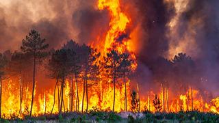 Güney Kore'deki orman yangınlarında ölü sayısı 28'e yükseldi! Tüm çabalara rağmen söndürülemiyor