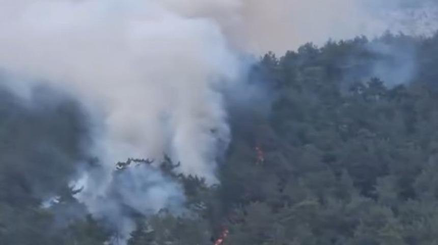 Milas’ta orman yangını