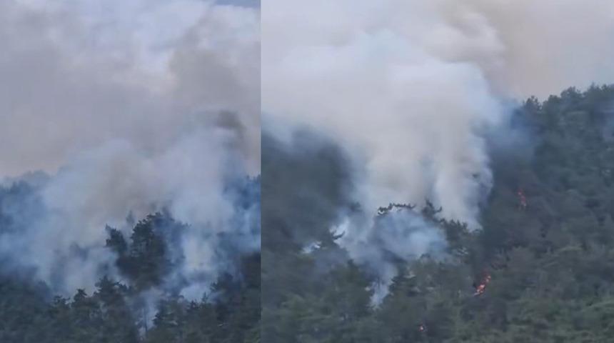 Milas’ta orman yangını! Söndürme çalışmaları sürüyor 