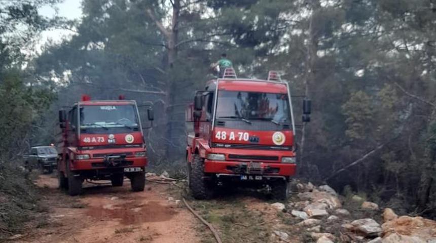 Milas'ta orman yangını! Ekipler müdahale etti: Kontrol altına alındı