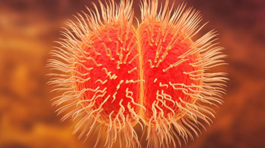 İkinci kez duyurdu! Moğolistan'da yeniden menenjit vakası alarmı