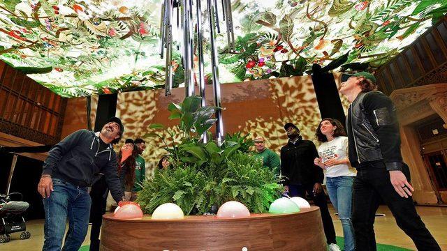 Yoğurt markası Chobani 10 yaşında