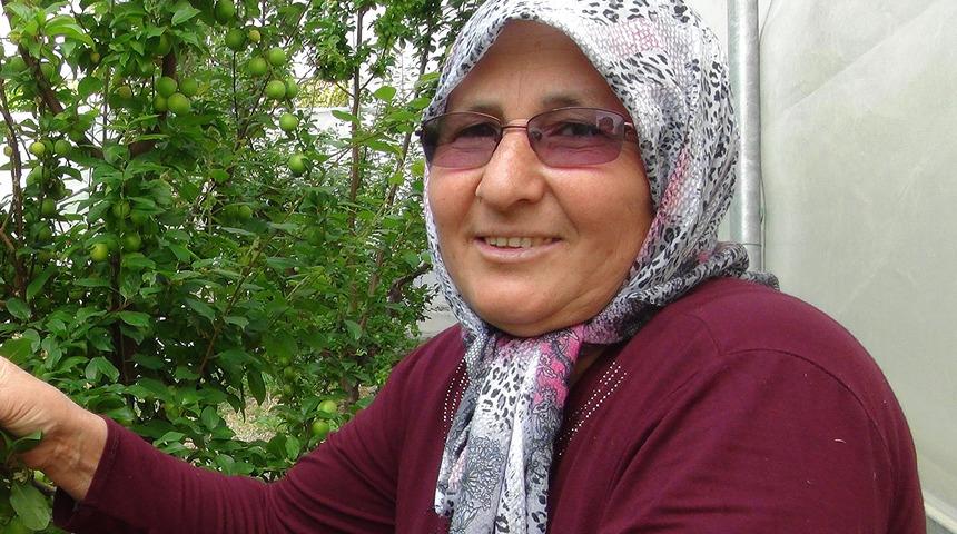 Dubai, Kanada, Almanya... Dünyanın dört bir yanına gönderiyorlar! Kilosu 800 liradan satılıyordu ama...
