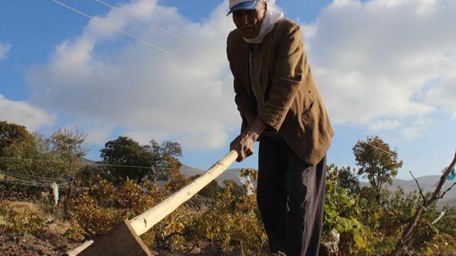 Tarla kazarken başına talih kuşu kondu! Neredeyse 2000 yıllık: Eşim evden kovdu, servet buldum