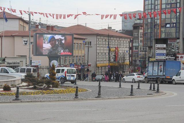 En güzel sevgili vatandır.