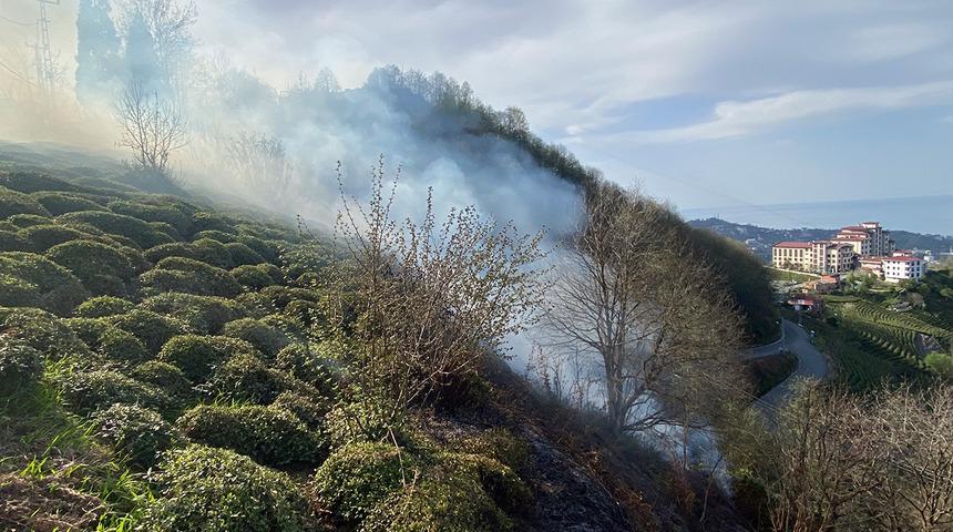 Rize’de anız yangını ormana sıçradı! Kısa sürede söndürüldü