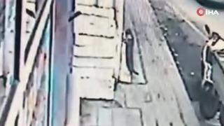 Kedinin tezgahtan balık alması kamerada