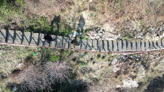 Bu merdiveni her gün kullanıyorlar! Basamakların sayısı hafızalarına kazınmış: Önceden 121 taneydi