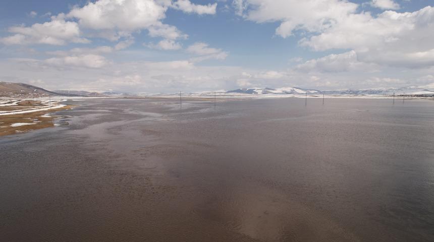 Ardahan'da karın erimesiyle Kura Nehri taştı! Göle Ovası'nın bir kısmı su altında kaldı