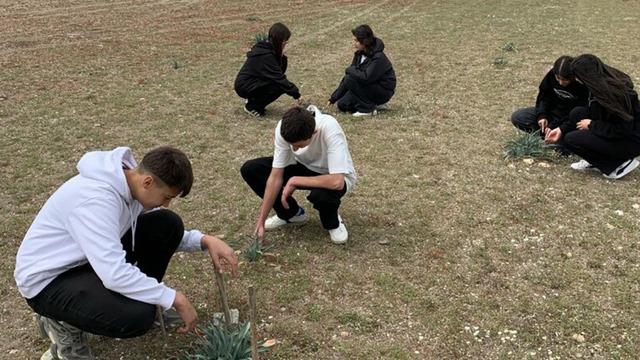 Liseliler, kum zambakları için seferber oldu