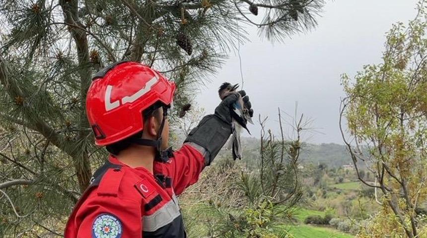 Yaralı Alabak Kuşu’nu itfaiye ekipleri kurtardı