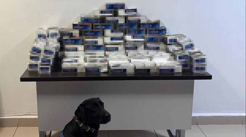 Yozgat’ta 20 bin adet makaron ele geçirildi