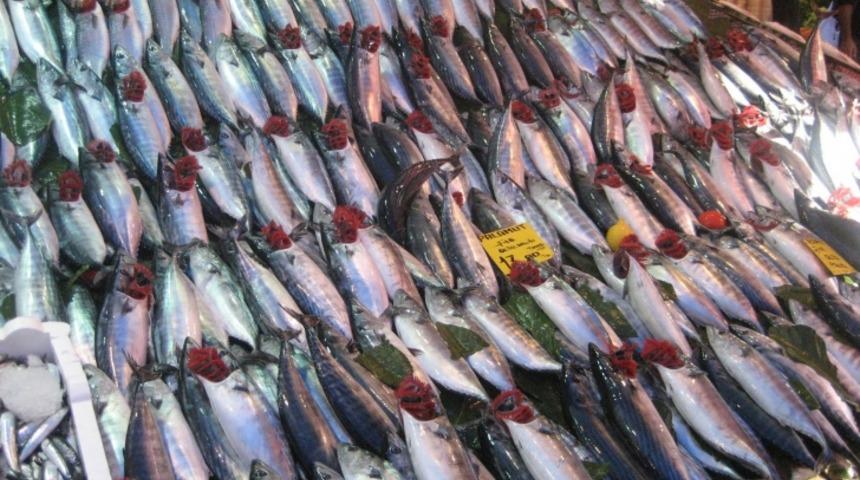 Balık depresyondan koruyor!