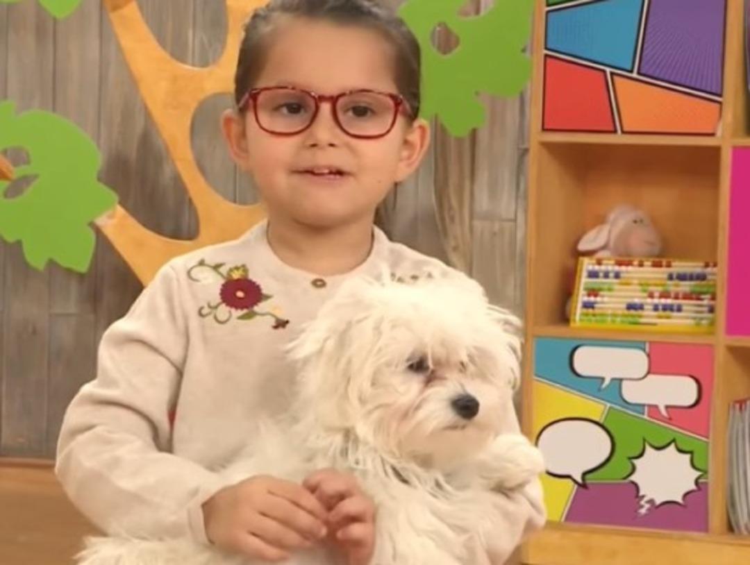 Çocuktan Al Haberi nin bilmiş miniği Ada Derin Acarsen büyüdü koca kız oldu! Son haline yorum yağdı 2