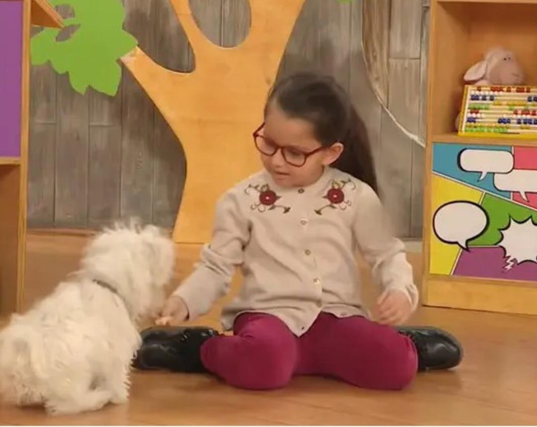 Çocuktan Al Haberi nin bilmiş miniği Ada Derin Acarsen büyüdü koca kız oldu! Son haline yorum yağdı 1