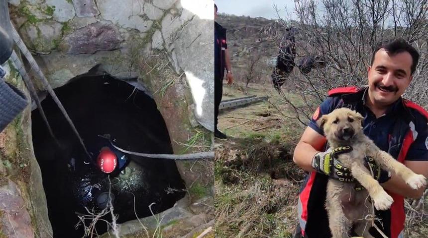 Kuyuya düşen minik köpeği itfaiye ekipleri kurtardı