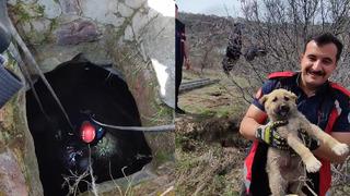 Kuyuya düşen minik köpeği itfaiye ekipleri kurtardı