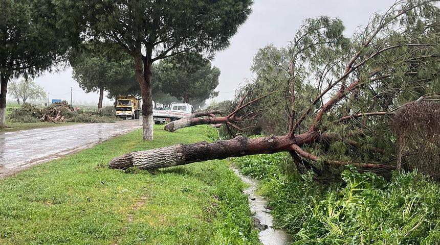 İncirliova’da fırtına etkili oldu