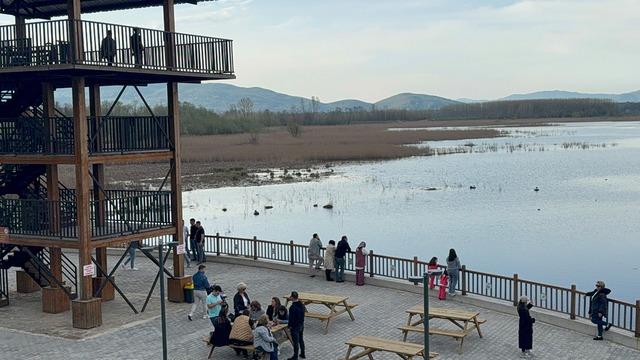 Yenilenen Efteni Gölü ziyaretçilerin ilgi odağı oldu