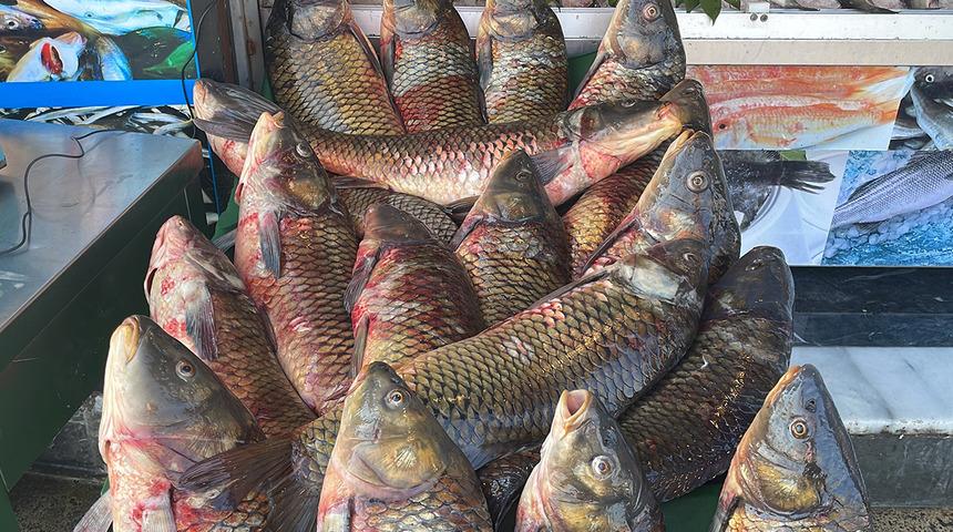 Erzincan’da iç sularda av yasağı başladı