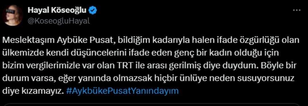 Ekran görüntüsü 2025-04-01 224912
