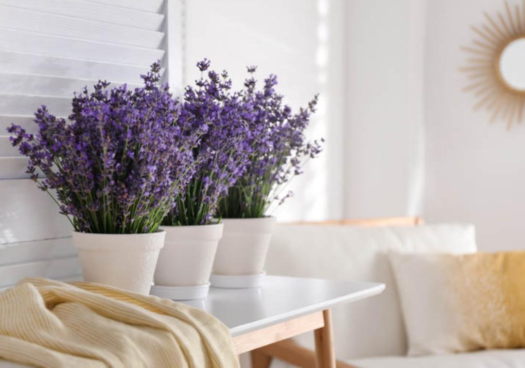 Evini Pinterest evlerine dönüştürecek tüyolar burada! 10