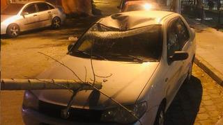 Denizli’de fırtına maddi hasara neden oldu