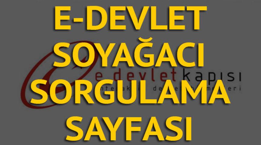 E-devlet soyağacı sorgulama sayfası açıldı! Alt üst soy bilgisi e-devletten nasıl alınır? (e-devlet giriş ile Soy ağacı sorgulama)