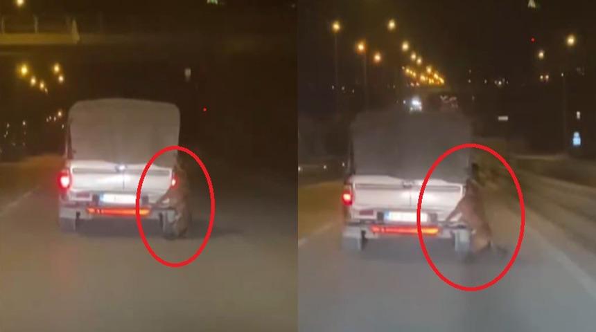 Pes dedirten görüntü: Aracın arkasına bağlı köpekle metrelerce yol gittiler!