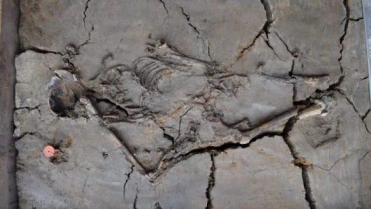 6 bin yıldır bu halde G2