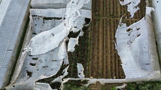 2 bin dönümlük alanda 200 milyon liralık hasar... Mersin'de seraları hortum vurdu!